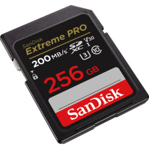 SanDisk 256GB SD card