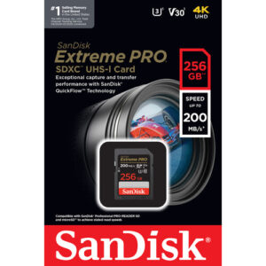 SanDisk 256GB SD card