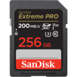 SanDisk 256GB SD Card